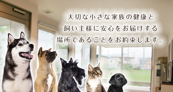 大切な小さな家族の健康と飼い主様に安心をお届けする場所であることをお約束します